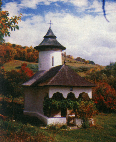 cislau