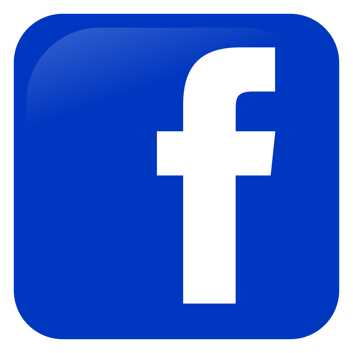 facebook primaria Buzau