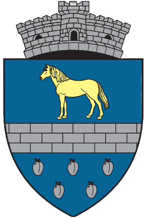 primaria Cislău